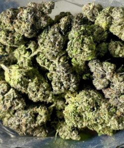 buy el chapo strain Edinburgh