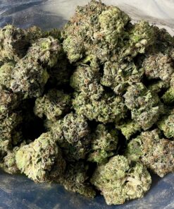 buy gangster og strain Edinburgh