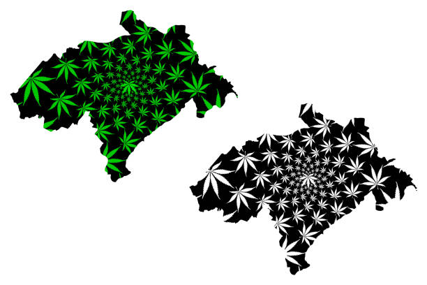 Medical cannabis Scotland